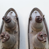thumbnail Rear lights  5